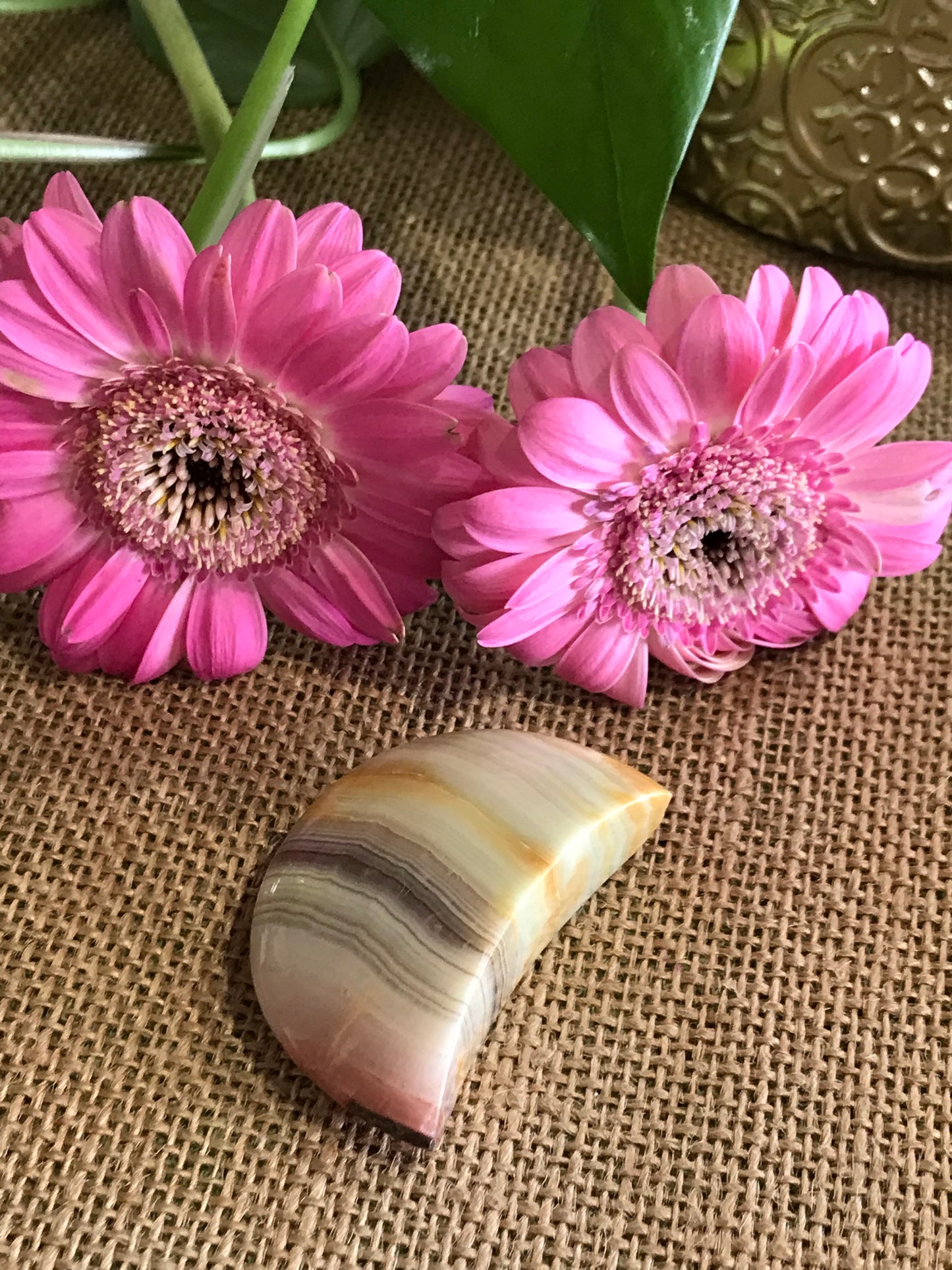 Pink Banded Onyx Moon