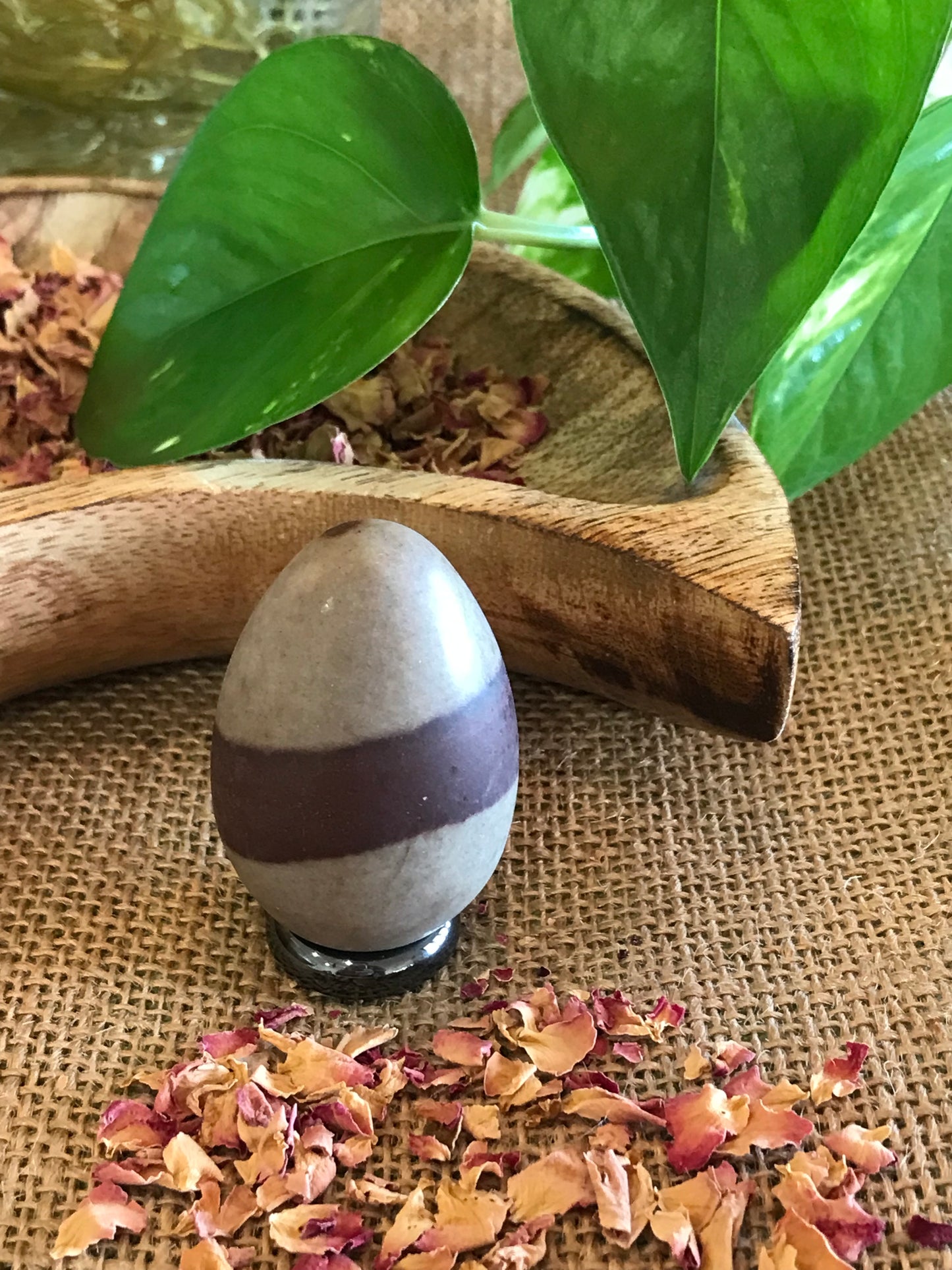 Shiva Narmada Egg includes Hematite Holder