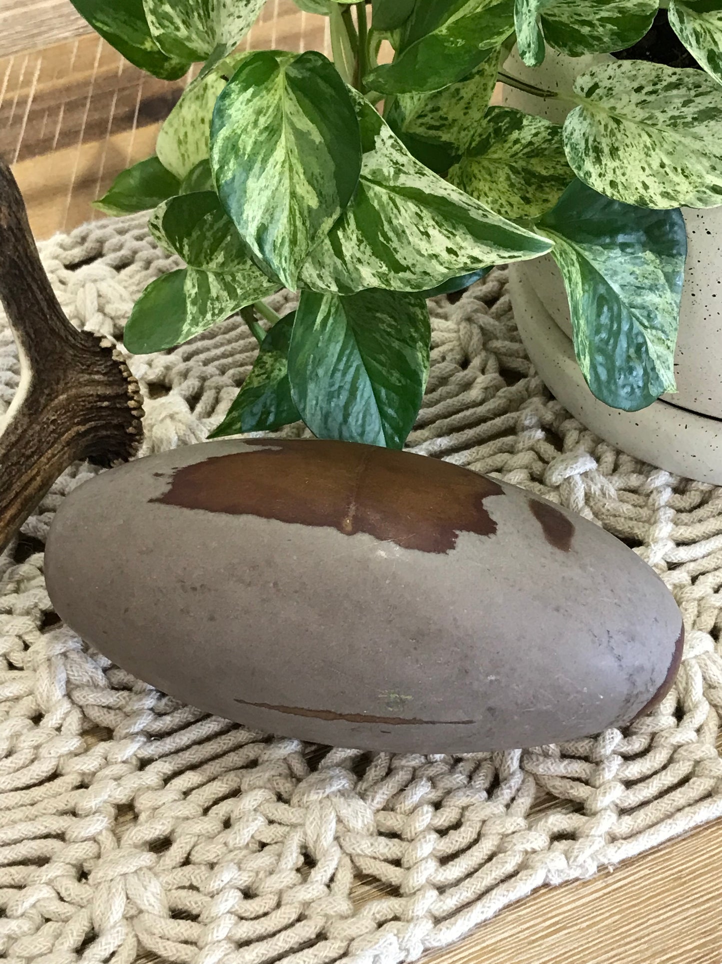 Shiva Lingam ~ 2.2kgs