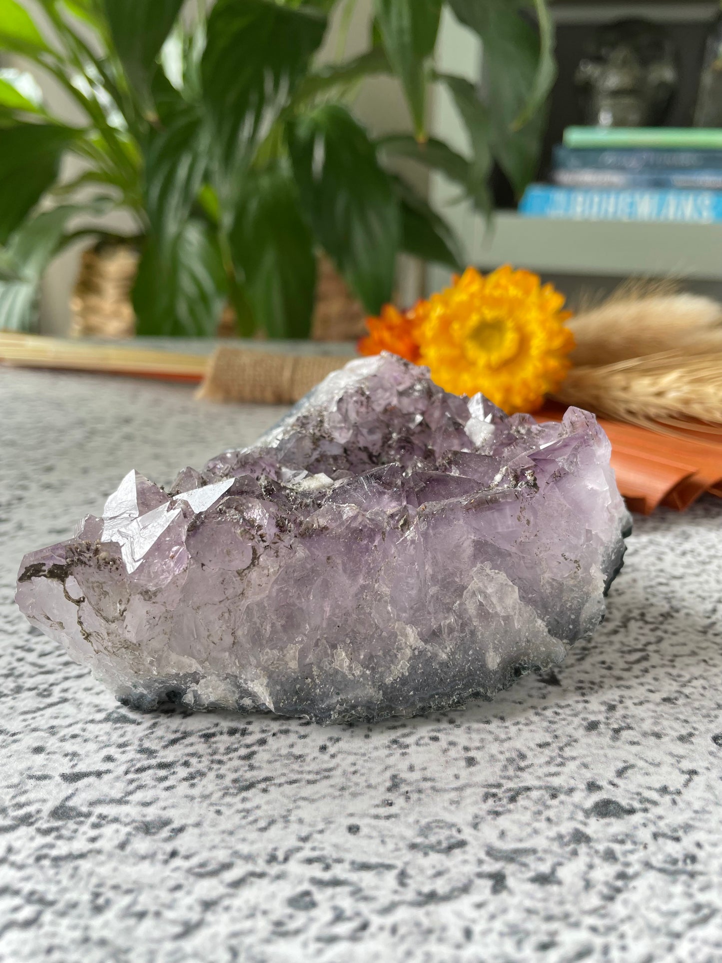 Amethyst Cluster