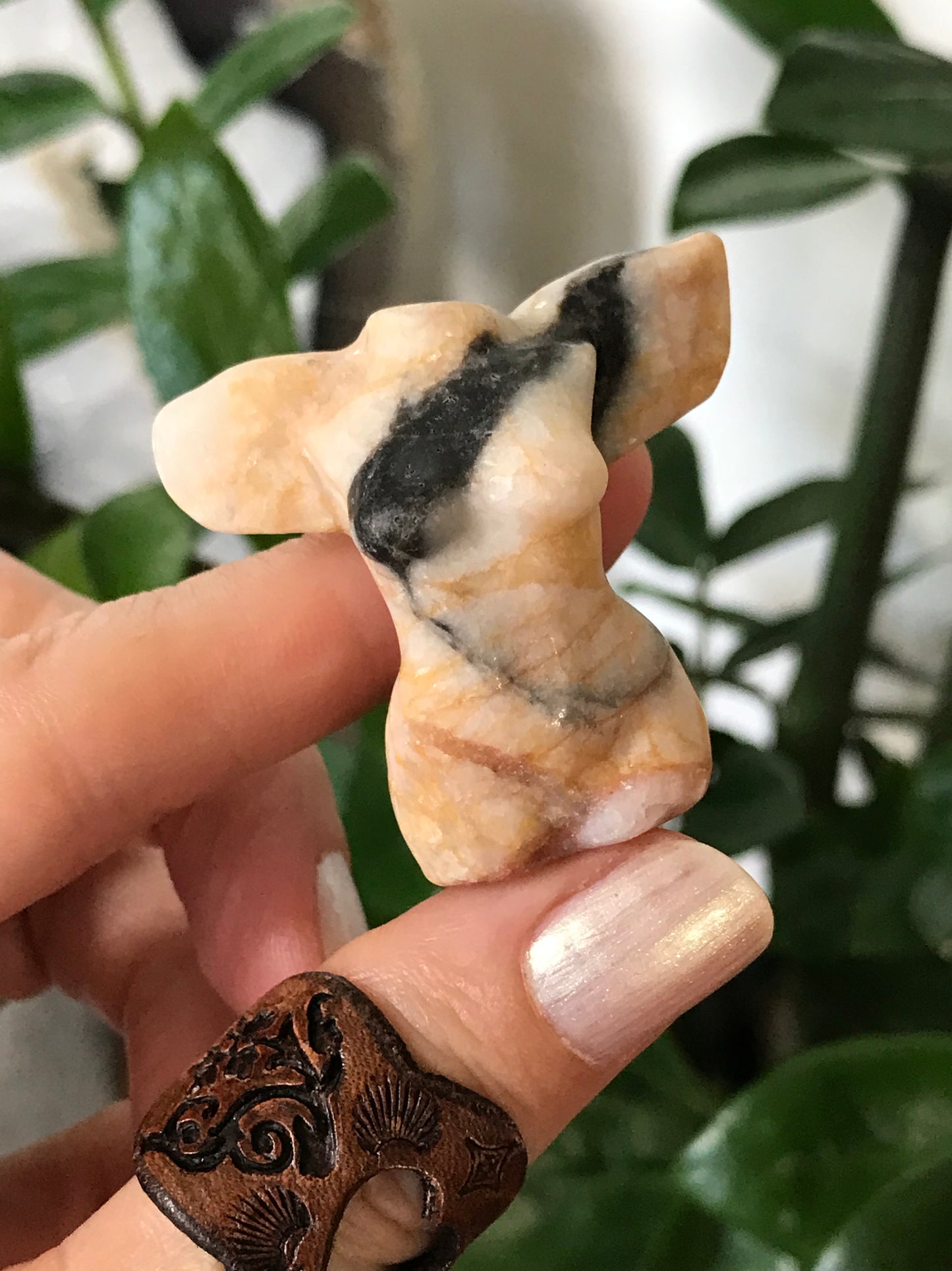 Intuitively Chosen Winged Goddess ~ Crazy Lace Agate