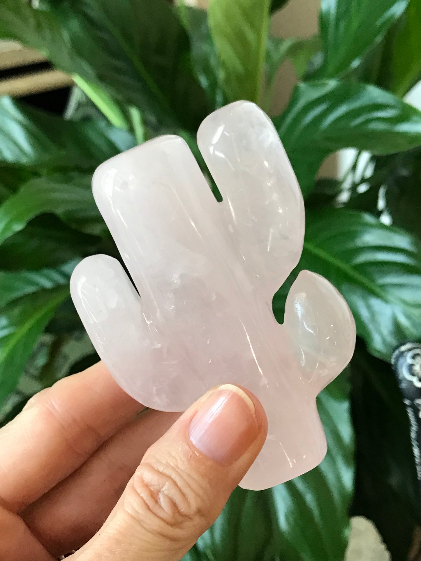 Rose Quartz Cactus