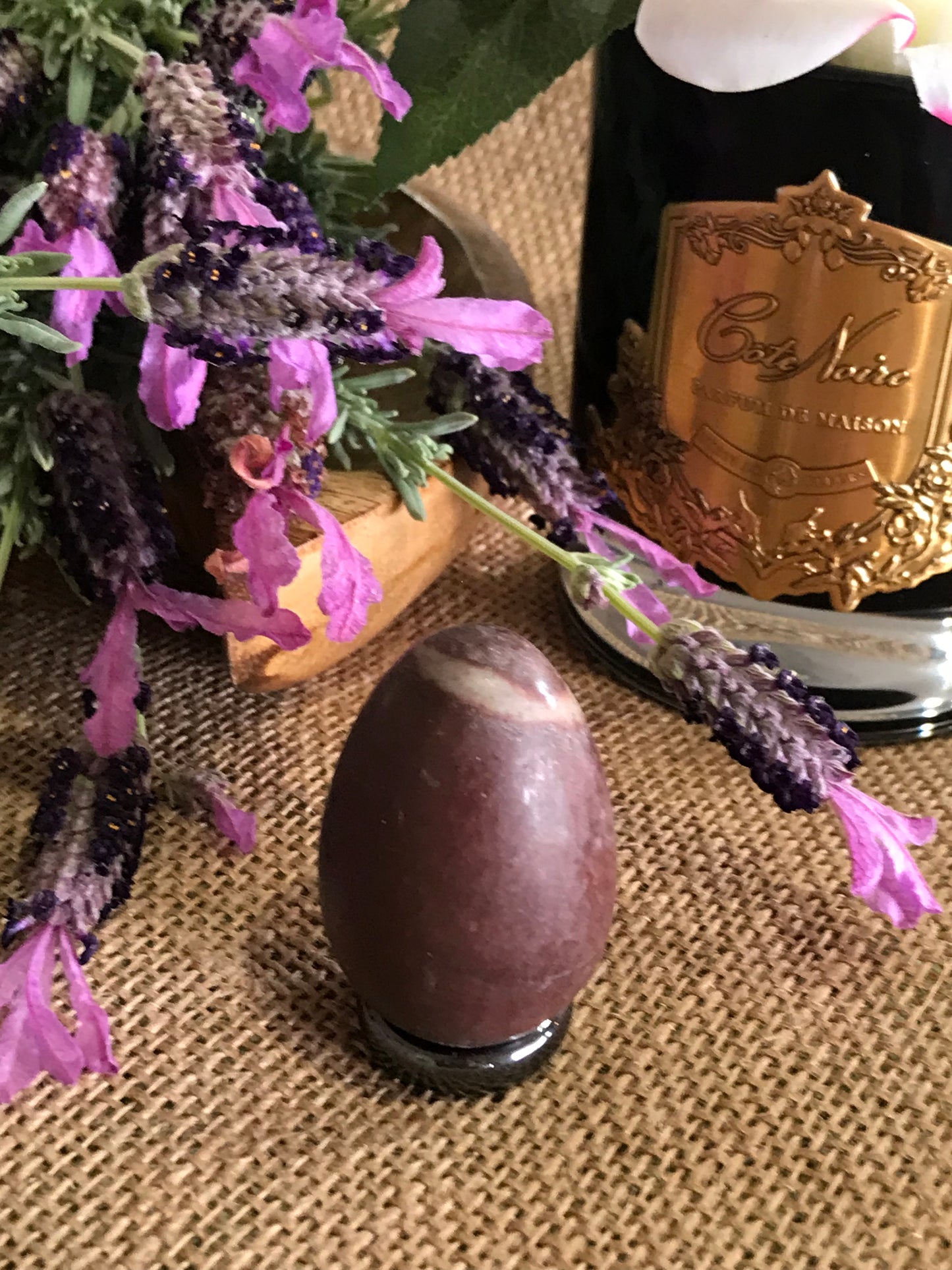 Shiva Narmada Egg includes Hematite Holder