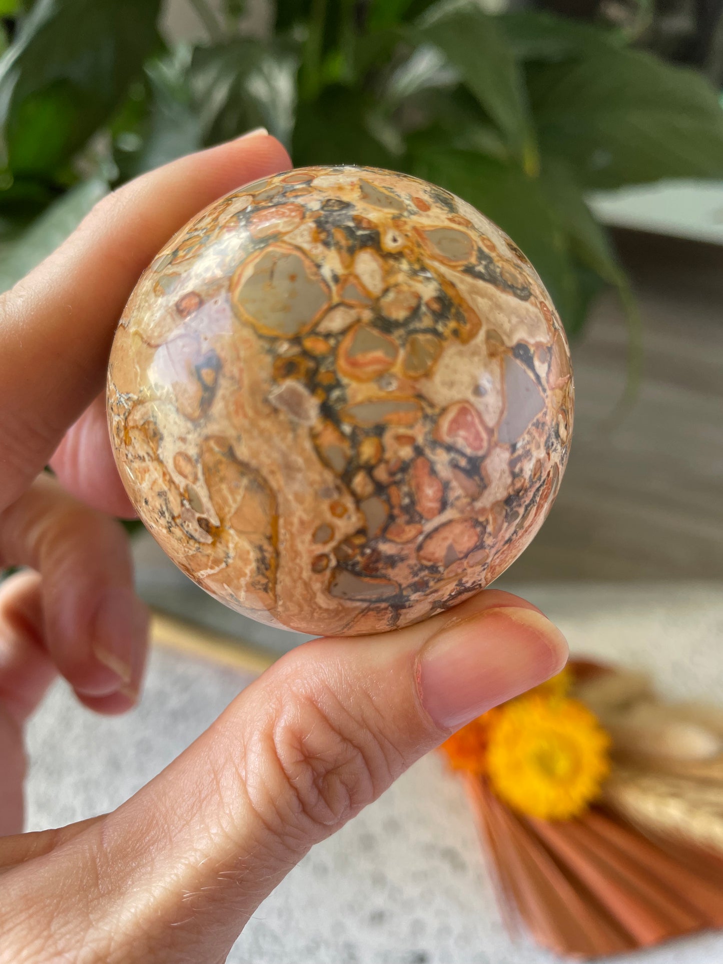 Leopard Skin Jasper Sphere Includes Wooden Holder