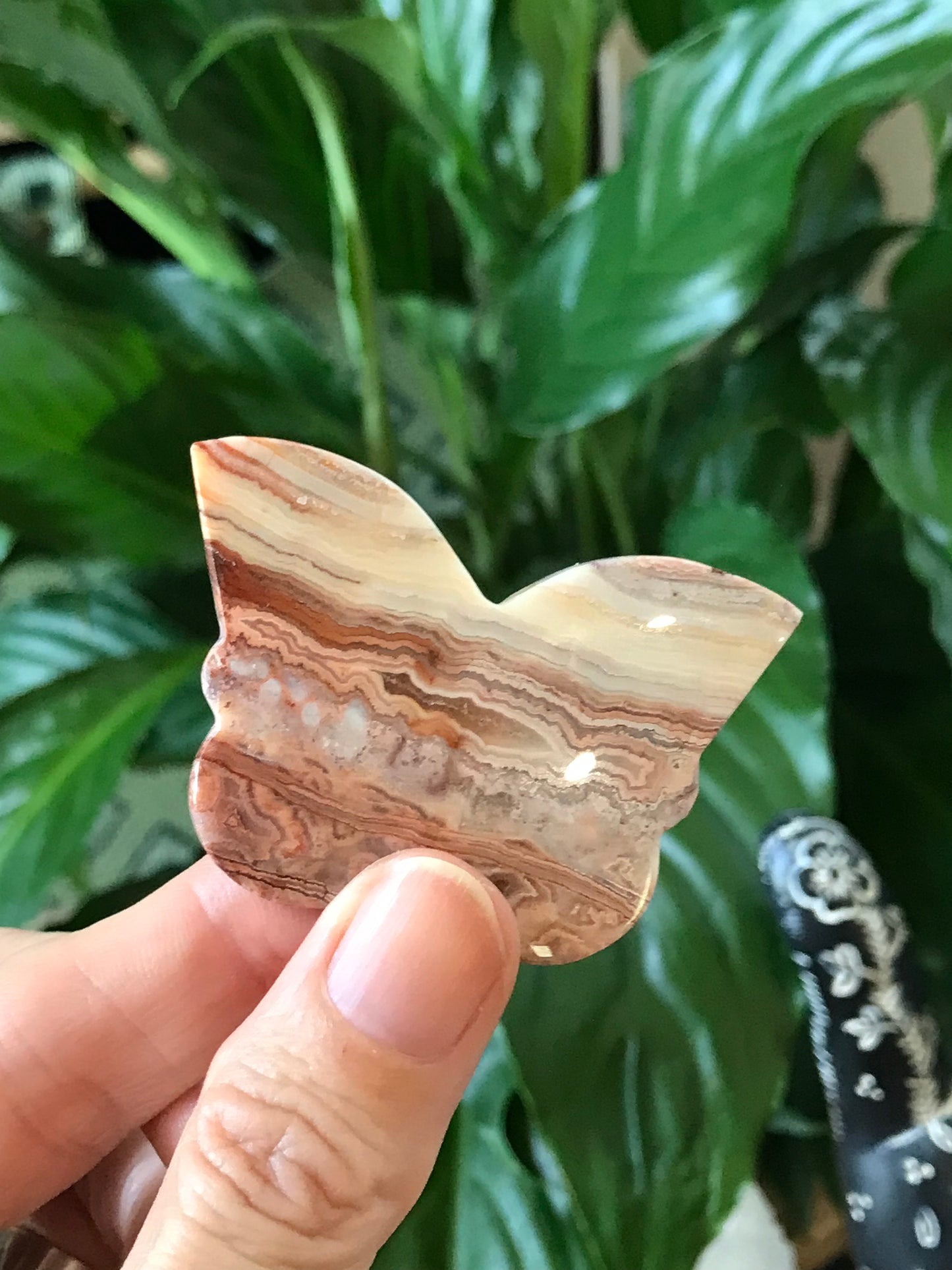 Butterfly ~ Pink Crazy Lace Agate