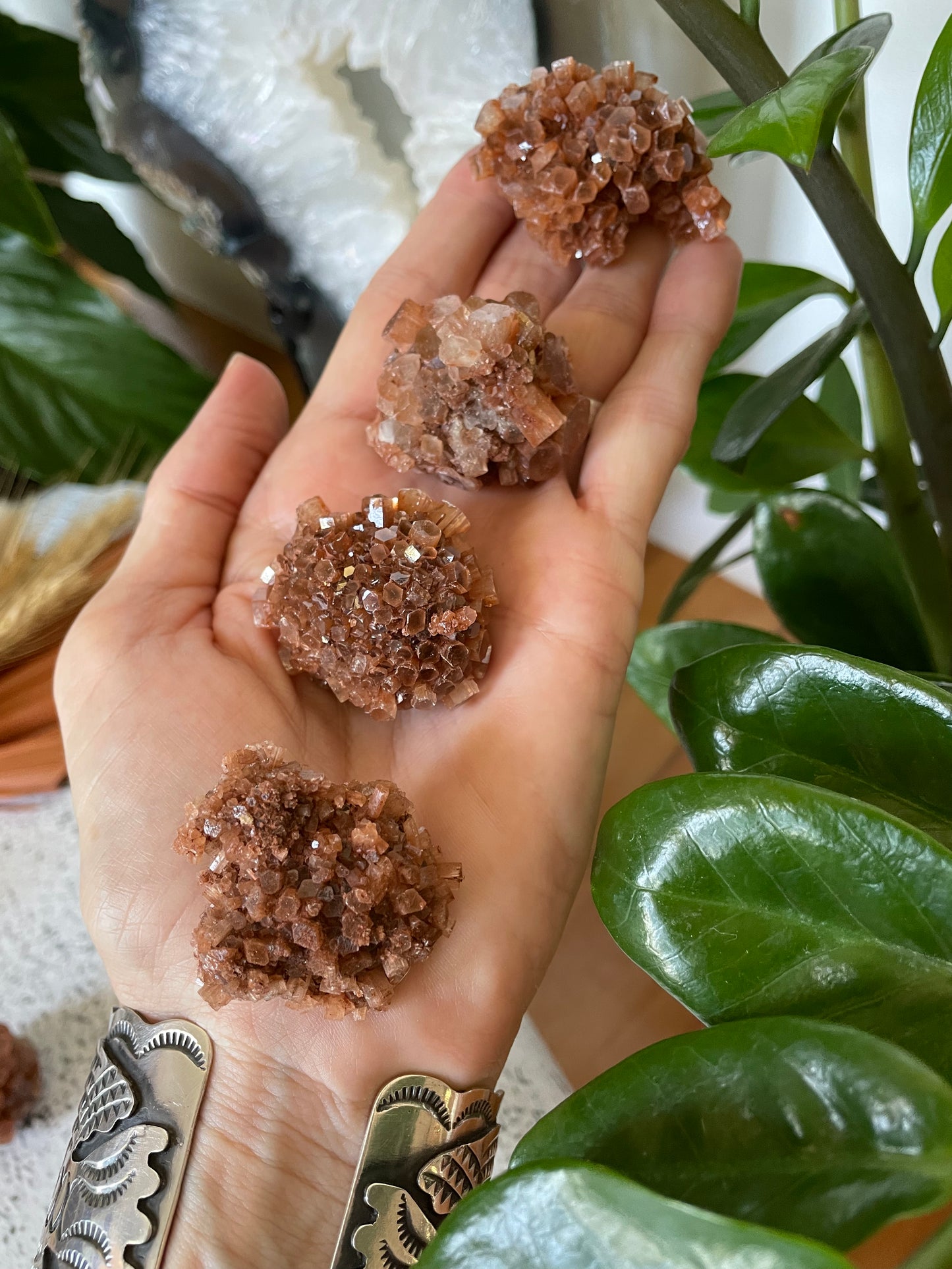 Intuitively Chosen ~ Aragonite Sputnik