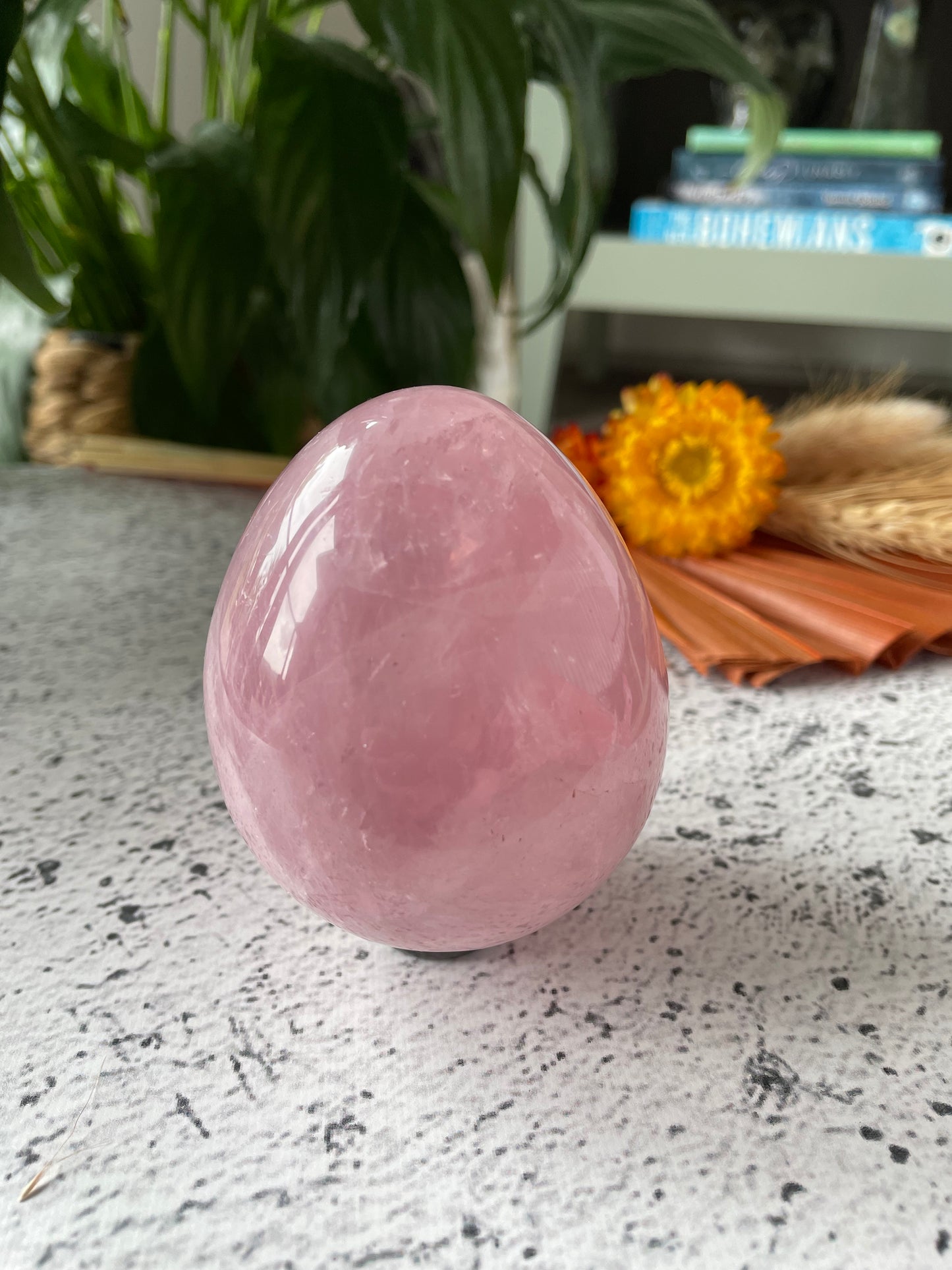 Rose Quartz Egg Includes Hematite Ring