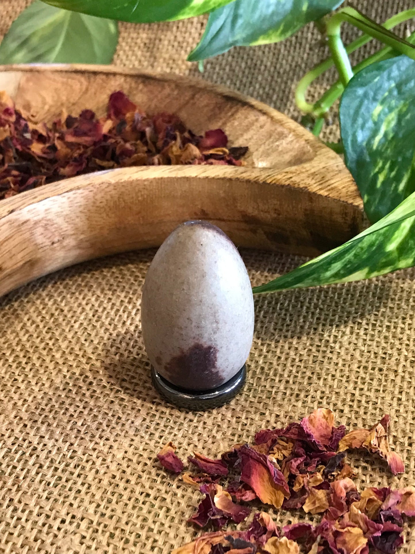 Shiva Narmada Egg includes Hematite Holder