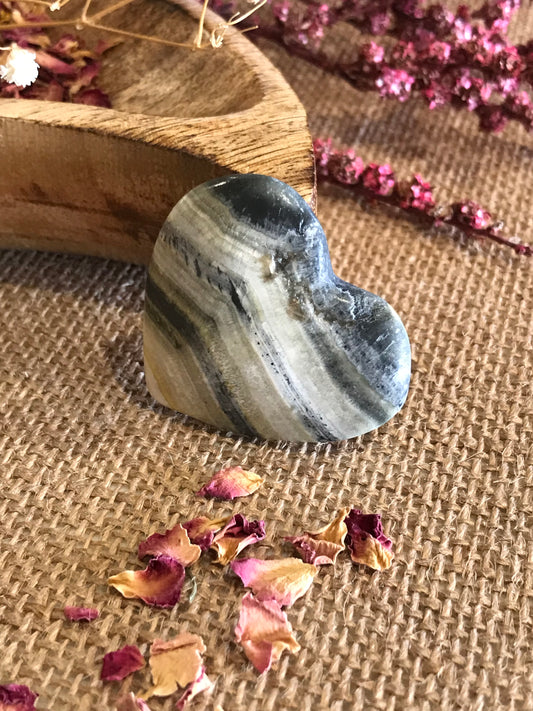 Bumble Bee Jasper Heart