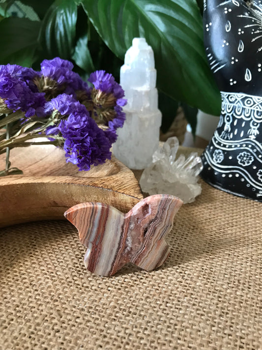 Butterfly ~ Pink Crazy Lace Agate