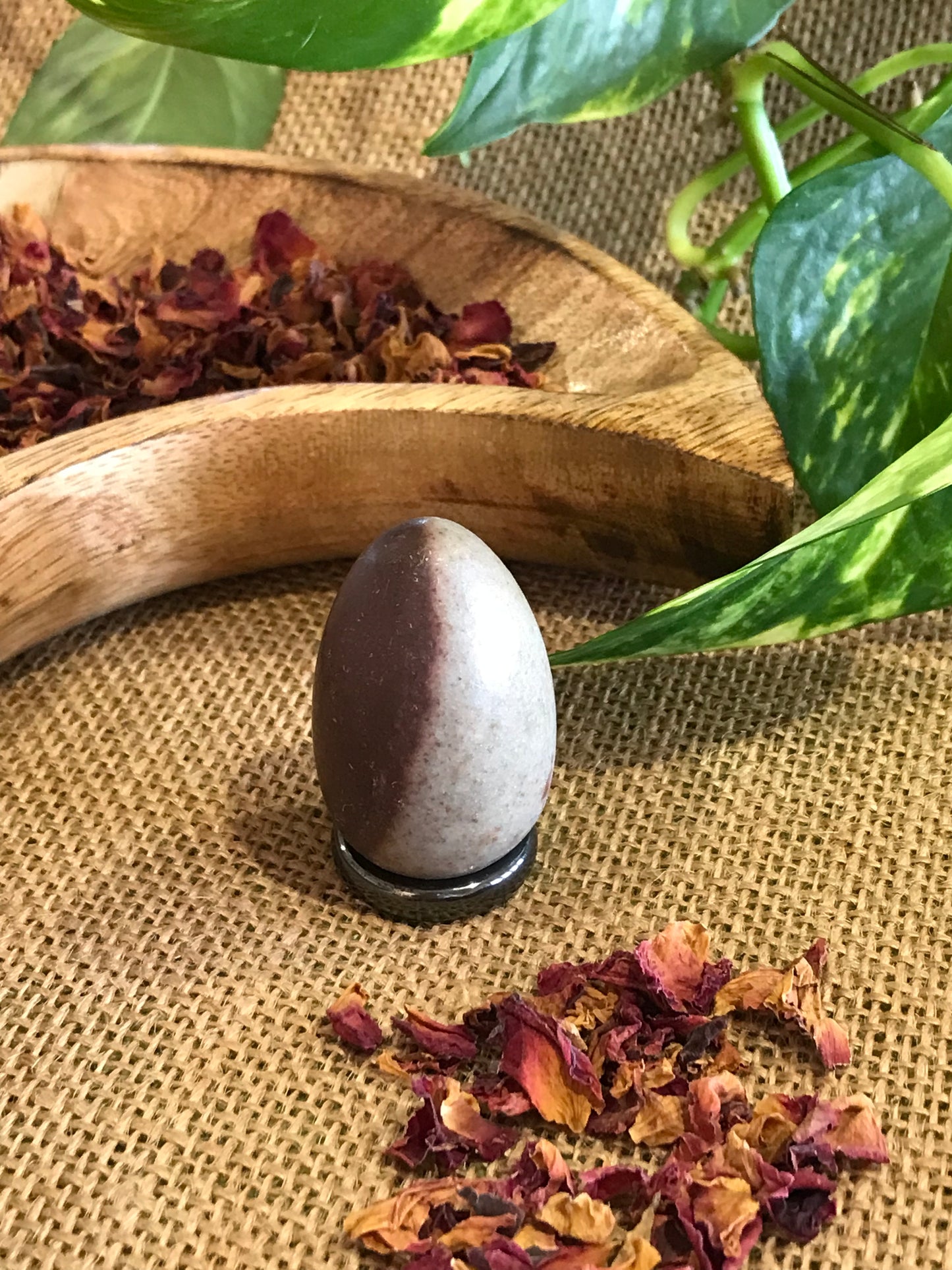 Shiva Narmada Egg includes Hematite Holder