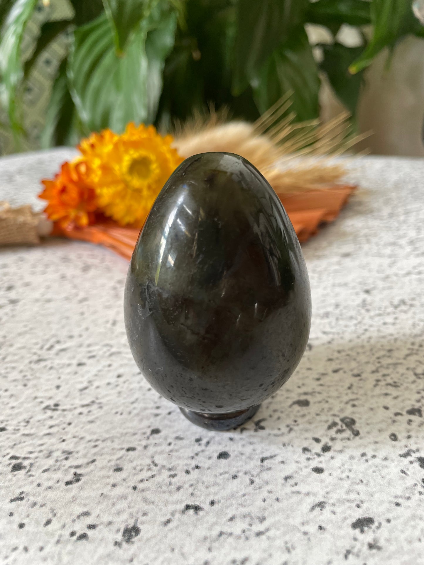 Labradorite Egg Includes Hematite Ring