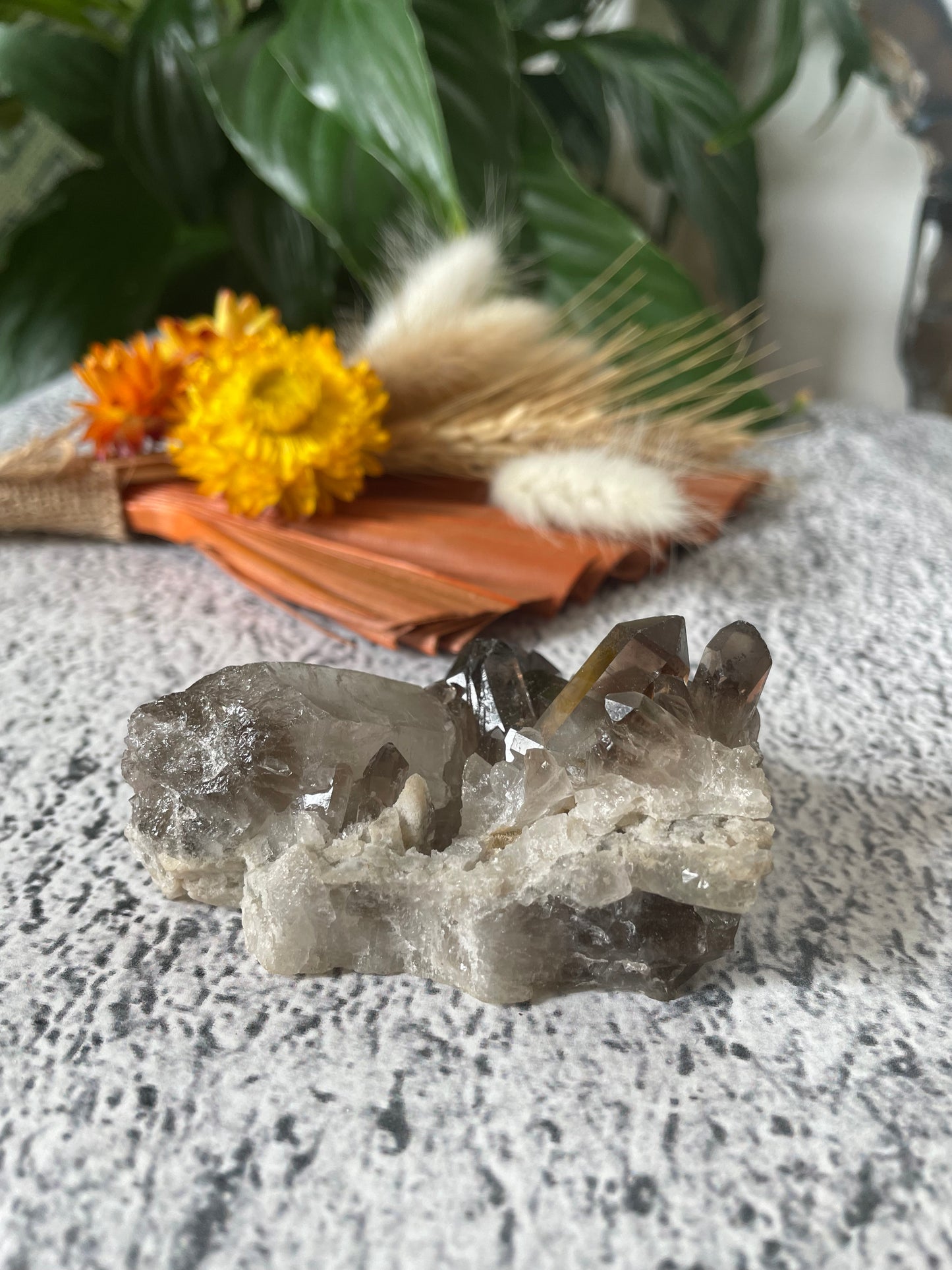 Smoky Quartz Cluster