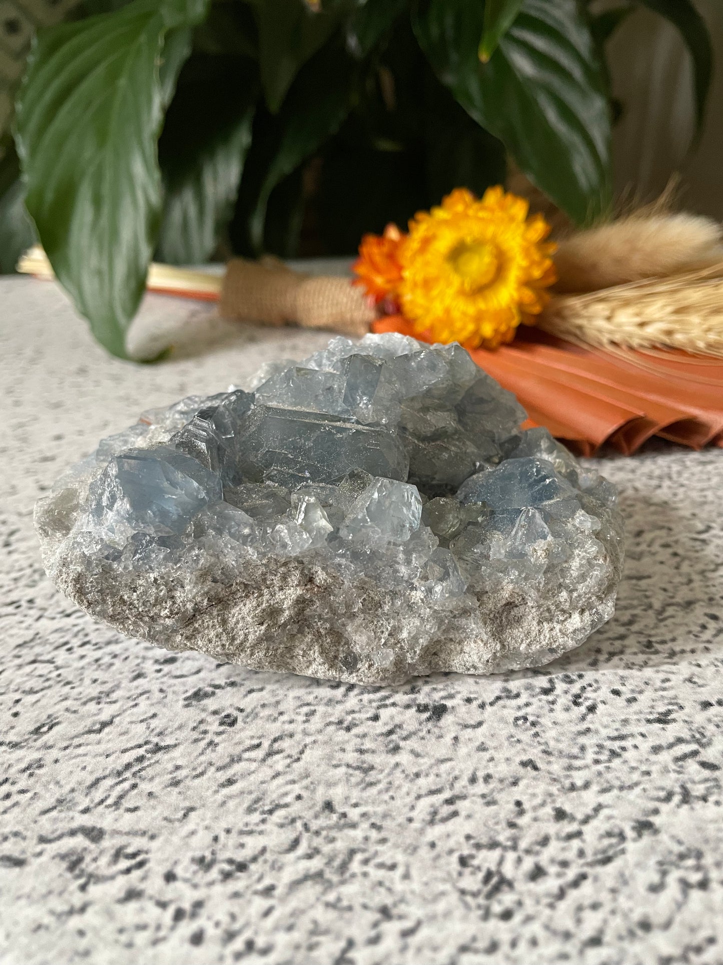 Celestite Cluster