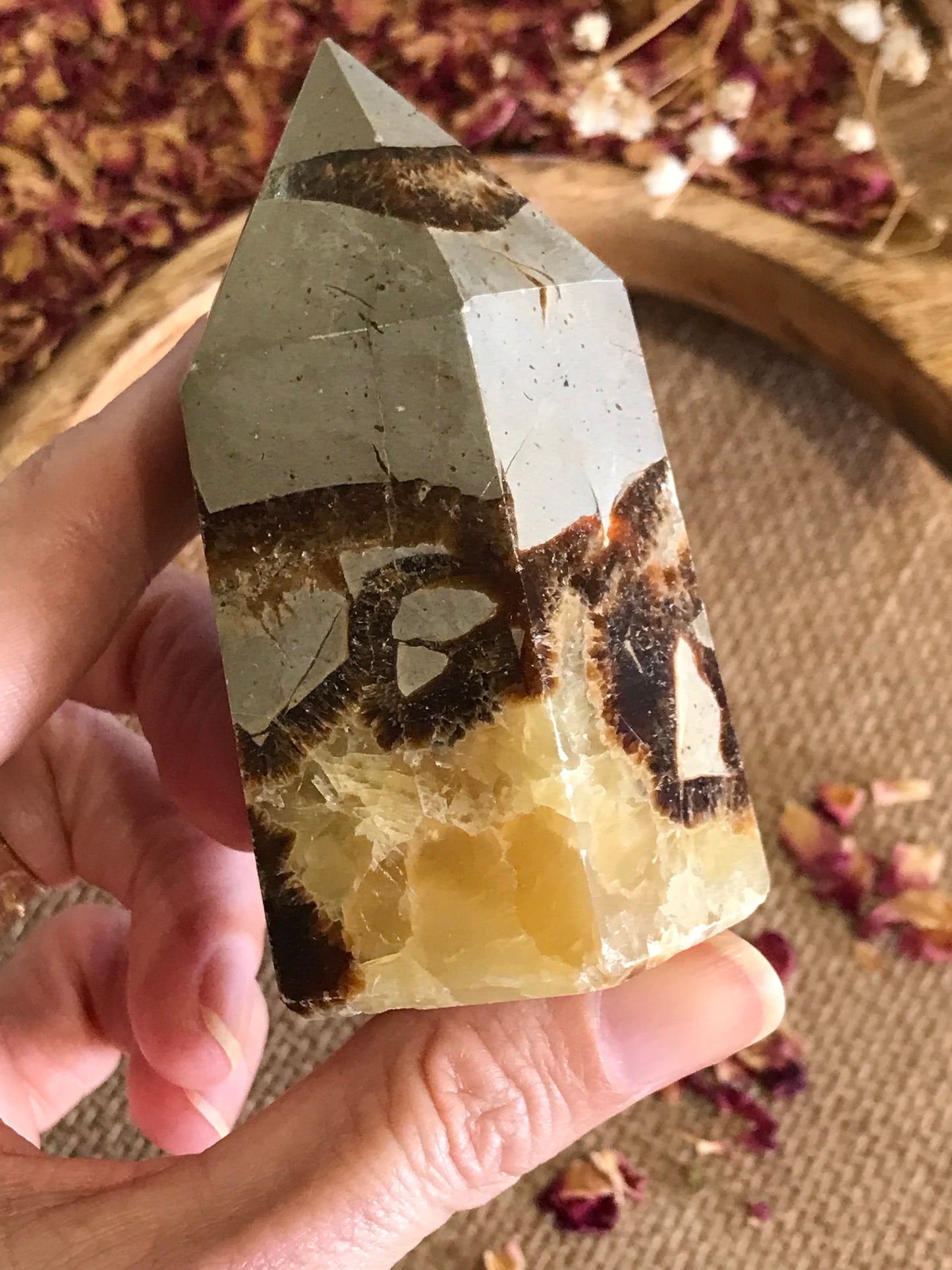 Septarian Generator