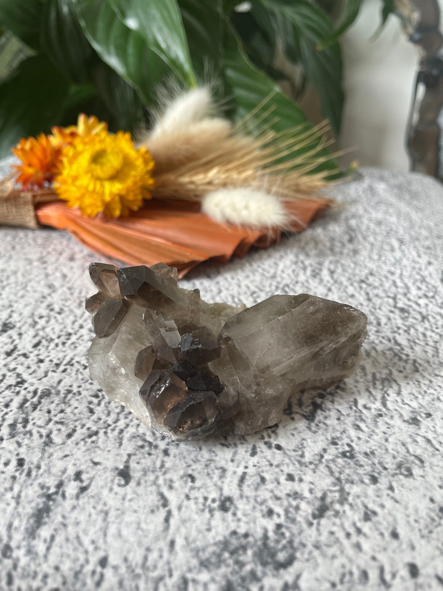 Smoky Quartz Cluster