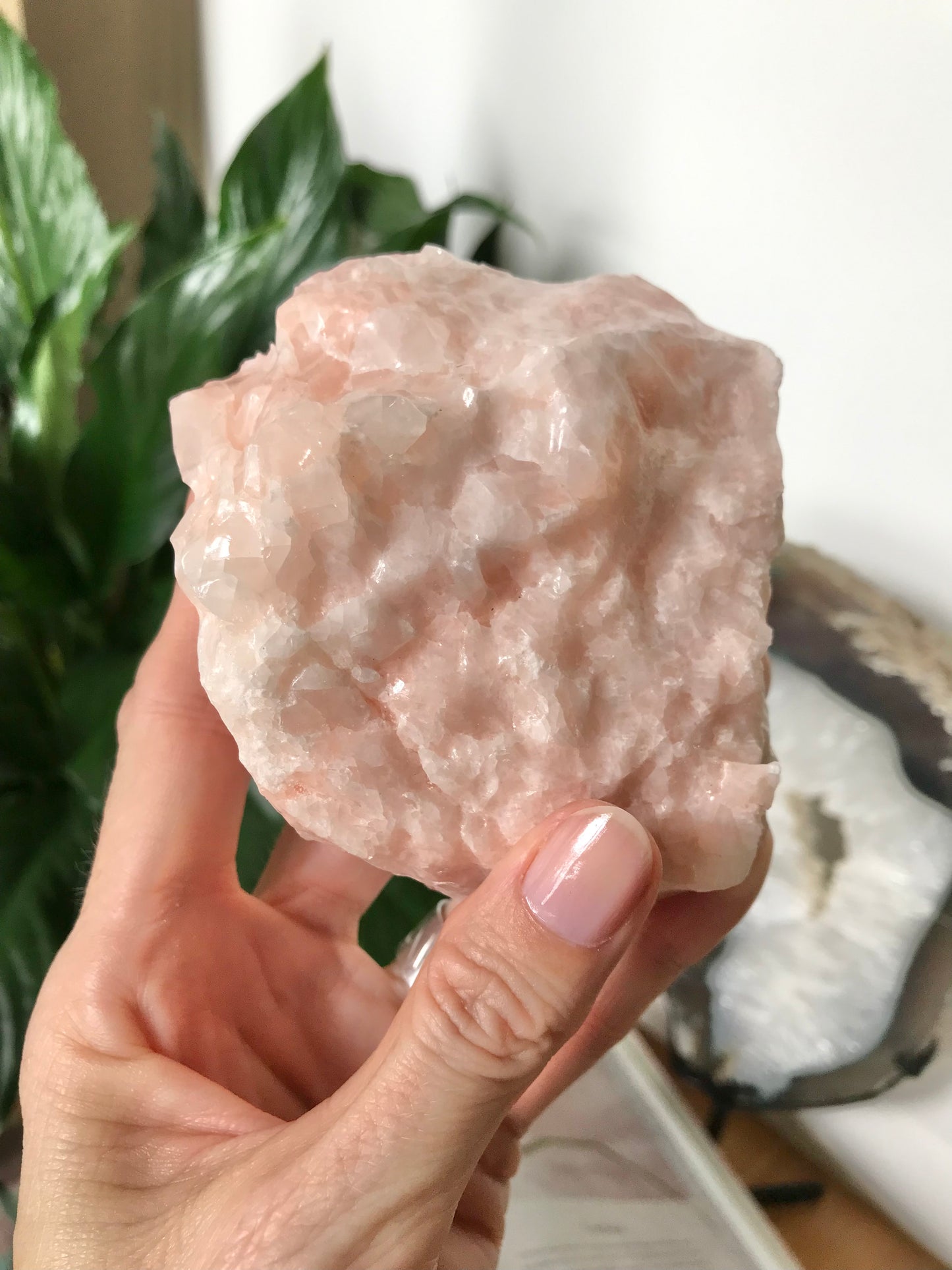 Rose Calcite