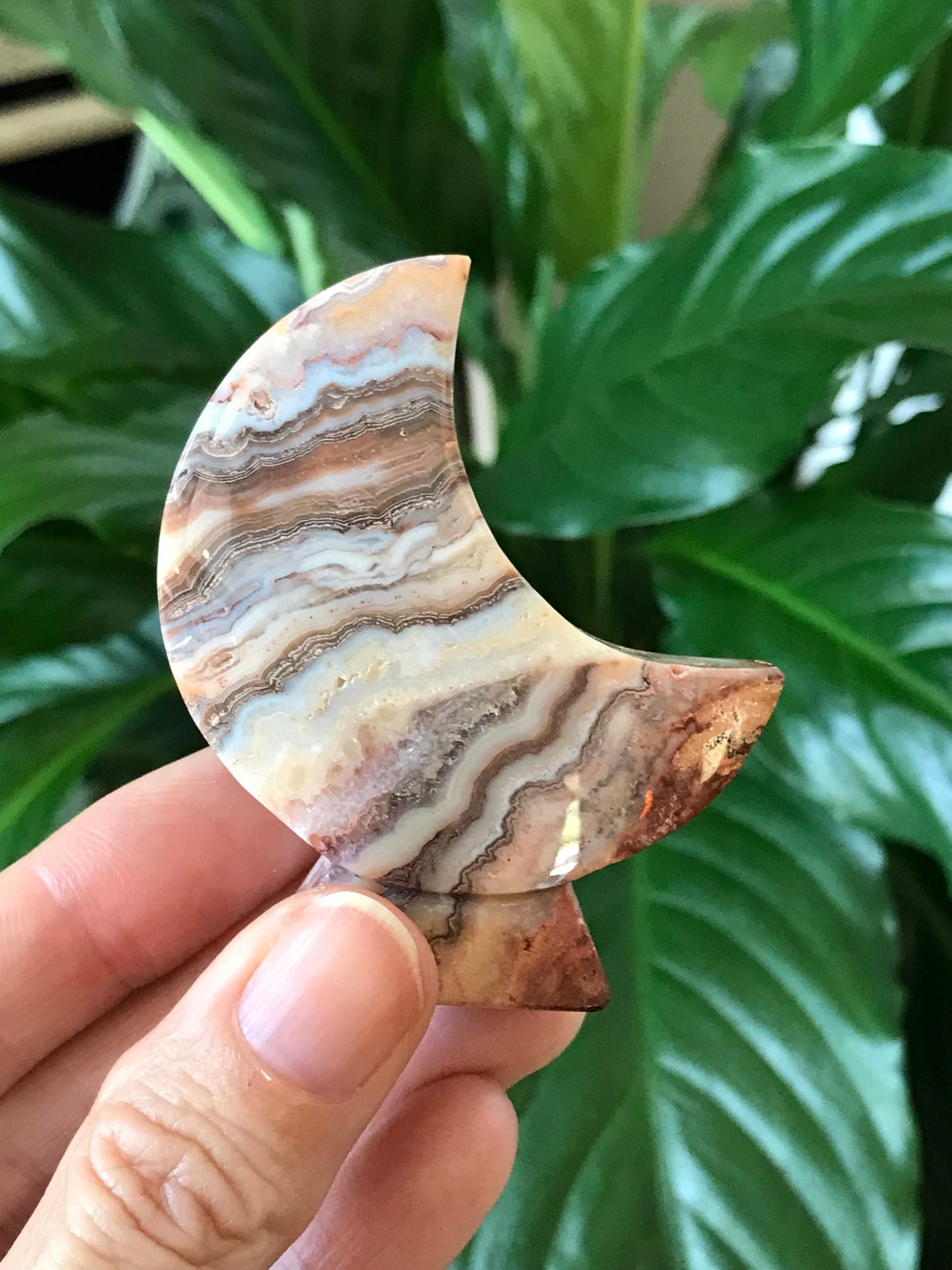 Crescent Moon ~ Pink Crazy Lace Agate