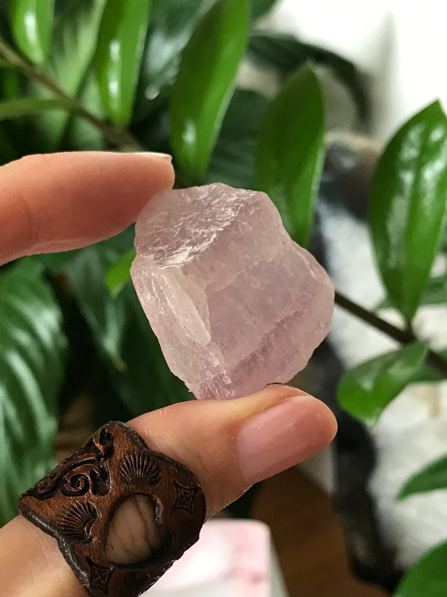 Intuitively chosen ~ Purple Fluorite