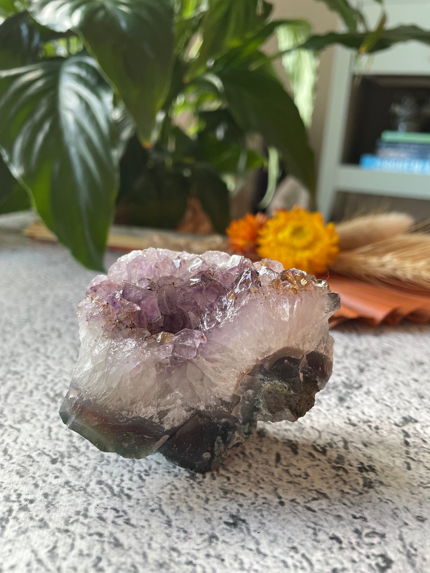 Amethyst Cluster