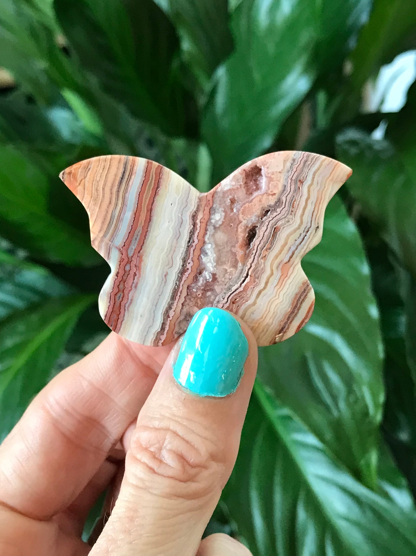 Butterfly ~ Pink Crazy Lace Agate