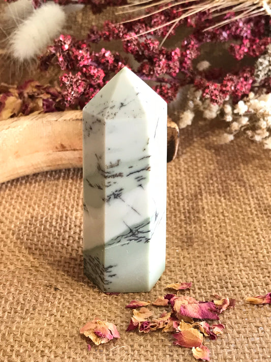 Dendritic Opal Generator