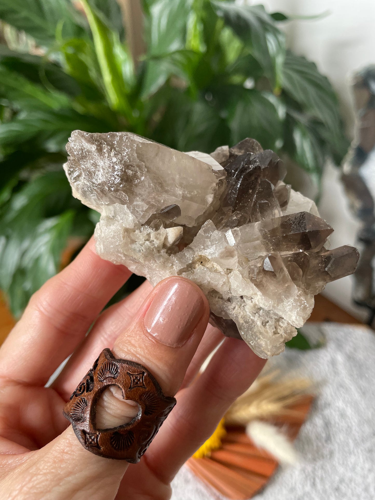 Smoky Quartz Cluster