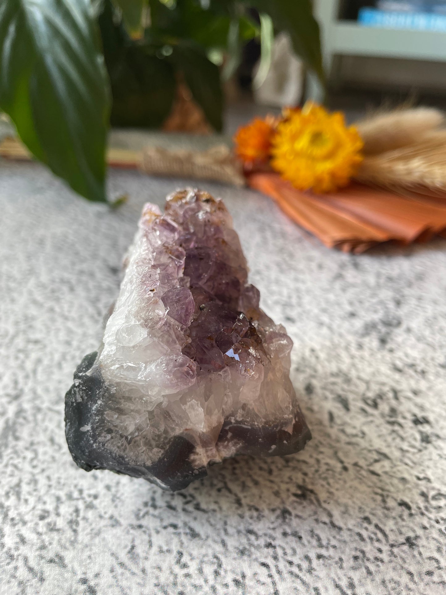 Amethyst Cluster