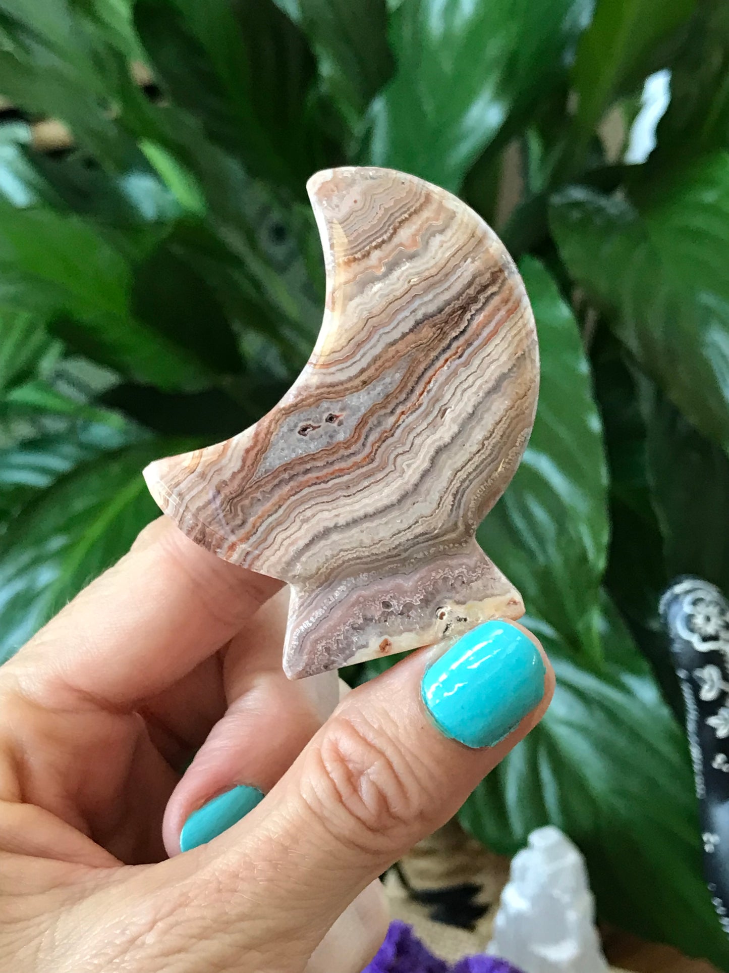 Crescent Moon ~ Pink Crazy Lace Agate