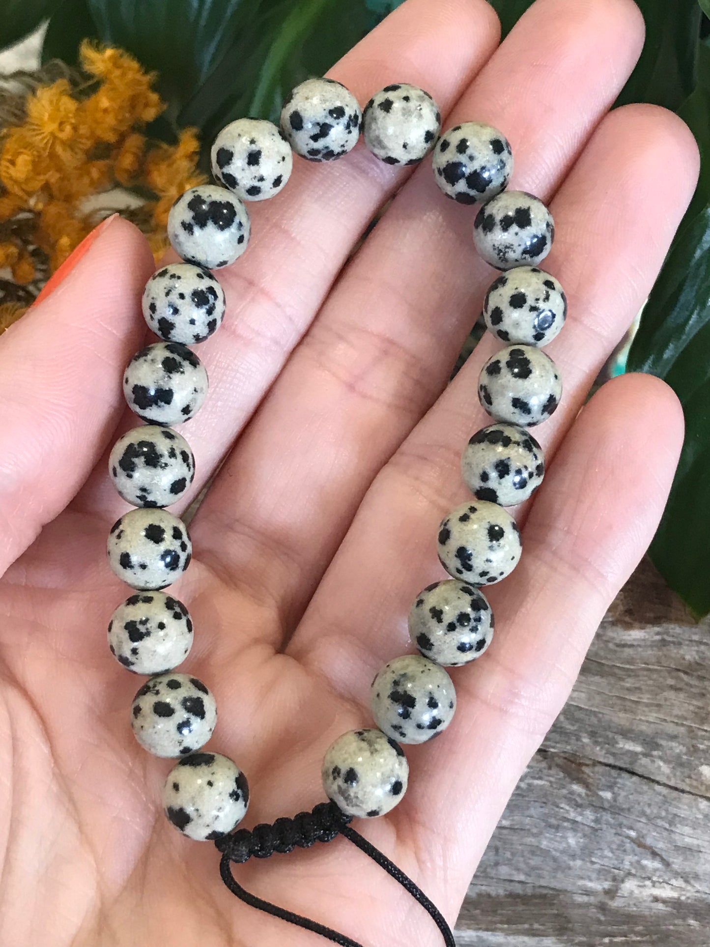 Adjustable Macrame Bracelet ~ Dalmatian Jasper